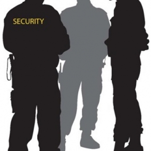 Seguridad _ Técnico-Profesional [ Memoria Pedagógica ]. 