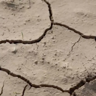 Los efectos del cambio climático que ya notamos. 