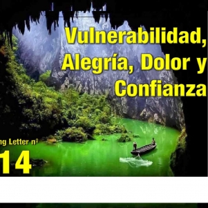 Vulnerabilidad, Alegría, Dolor y Confianza. 