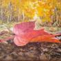 Cuento: La Hoja de Otoño y su Memoria. 