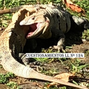 5 Cuestionamientos. Supervivencia, positivismo,transcendencia y confianza