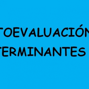 Autoevaluación Determinantes 2019-2020